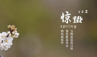 描写惊蛰的优美语句 描写惊蛰的优美句子