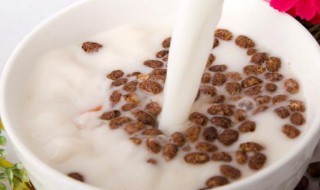 脆米奶茶制作方法(脆米奶茶制作方法窍门)