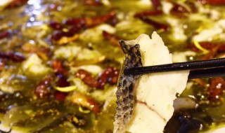 酸爽酸菜鱼做法步骤（酸菜鱼的做法简单又好吃）