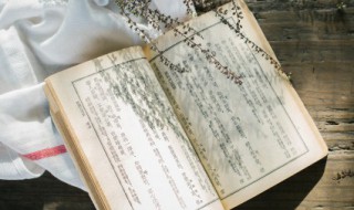 雪中的梅花的诗句 有雪有梅花的诗句