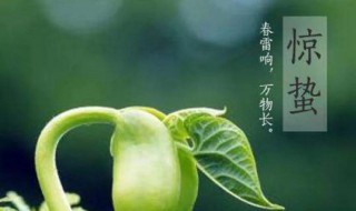 描写惊蛰节气的诗句（描写惊蛰节气的诗句 古诗）