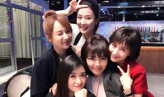 樊胜美事件什么意思 樊胜美事件是什么