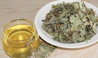 金钱草能泡水喝吗 金钱草能泡水喝吗有毒吗