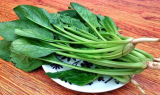 新鲜菠菜保存方法 新鲜菠菜保存方法有哪些