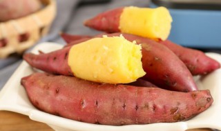 蒸蜜薯的正确方法(蜜薯怎么蒸窍门)