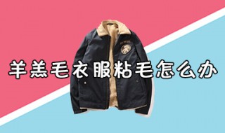羊羔毛衣服粘毛怎么办（羊羔绒衣服粘毛怎么办）