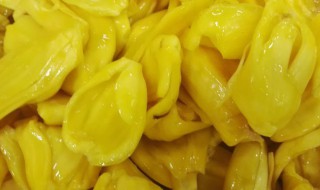 菠萝蜜果肉怎么剥出来 菠萝蜜果肉怎么剥出来视频