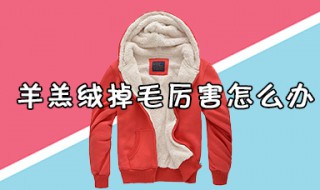 羊羔绒掉毛厉害怎么办 羊羔绒掉毛毛怎么处理