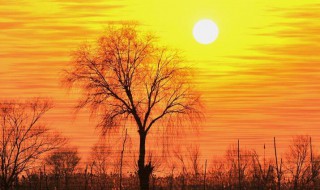 形容冬日早上暖阳的唯美句子 形容冬日早上暖阳的唯美句子诗句