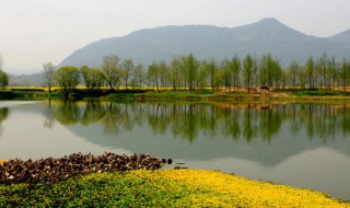 关于写家乡的句子作文开头 描写家乡作文的开头怎么写