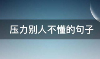 压力别人不懂的句子 压力别人不懂的句子怎么说