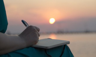 吃一堑长一智议论文800（吃一堑长一智议论文500字）