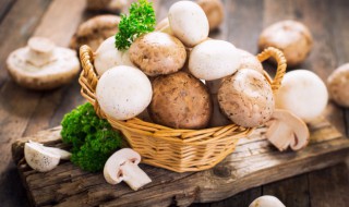 为什么说海鲜菇会中毒（海鲜菇会食物中毒吗）