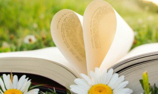 适合说晚安的唯美句子大全 适合说晚安的名句