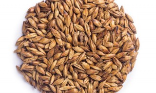 生麦芽回奶的详细做法 生麦芽回奶的详细做法窍门