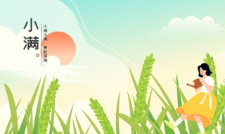 小满节气经典句子最新摘抄（小满节气短句）