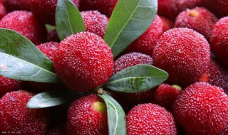 洗了的杨梅怎么保存（洗完的杨梅怎么保存）