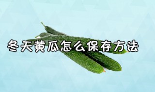 冬天黄瓜怎么保存方法 冬天黄瓜怎么保存方法最好