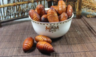 活的蚕蛹怎么保存（活的蚕蛹怎么保存方法）