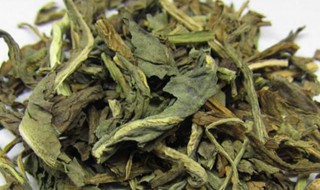 大青叶的副作用（大青叶的副作用和禁忌）