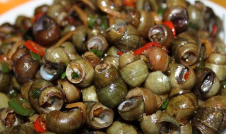 螺蛳功效与作用及禁忌（螺蛳的功效）