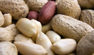 鲜花生怎么保存（鲜花生怎么保存可以时间久一点）