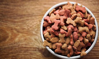 大袋狗粮怎么保存 大袋狗粮怎么保存时间长