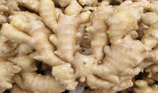 生姜怎么样保存（生姜怎么样保存不烂）