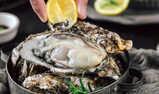 贝类海鲜的做法大全 贝类海鲜做法大全家常