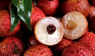 夏天荔枝怎么保存 保存荔枝的最好方法