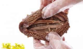 新鲜海参怎么保存（新鲜海参怎么保存方法）