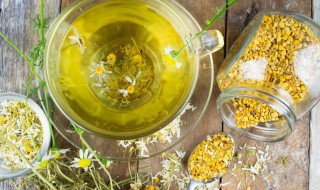 菊花和金银花的功效与作用（菊花和金银花的功效与作用有什么不同）