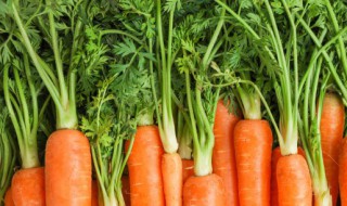 清肝排毒怎么做 清肝排毒怎么做最好