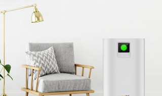 空气净化器有用吗 空气净化器有用吗甲醛能够去除吗