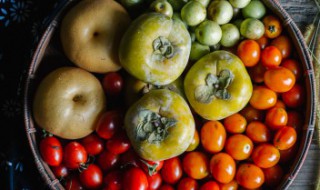 硬柿子要削皮么（柿子皮要削吗）