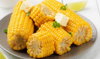 玉米糊的做法(玉米面糊糊的做法)