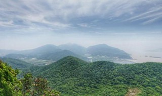 表达山风的句子（表达山风的句子有哪些）