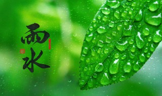 表示雨水节气古诗词 表示雨水节气古诗词句