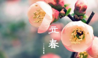 立春创意祝福文案（立春祝福语文案）