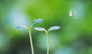 立春创意文案 立春创意文案短句