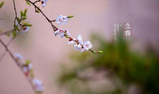 立春也称作什么（立春的含义是）