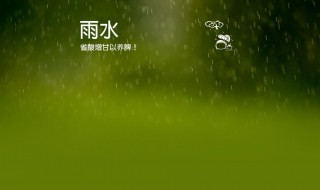 雨水养生要点（雨水养生要点是什么）