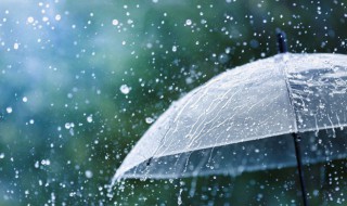 最新带雨的谚语大全（最新带雨的谚语大全）