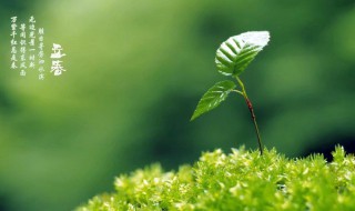 立春的短诗歌（立春的诗句现代诗）