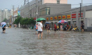 梦见地上都是雨水什么意思 做梦梦到地上都是雨水