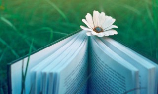 关于毕业精美说说 关于毕业精美说说短句