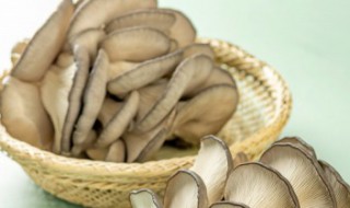 肉末鲜蘑菇的做法 蘑菇肉末怎么做好吃