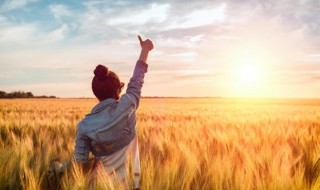 心里充满阳光的句子 心里充满阳光的句子图片