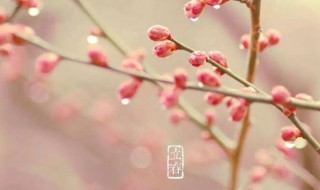 立春立是什么意思 立春的立是什么意思,意味着什么