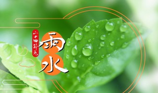 二十四节气雨水食谱（雨水节气食谱菜谱）